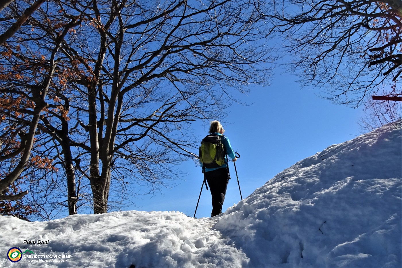 28  In cresta sul sent. 534A ben innevato .JPG